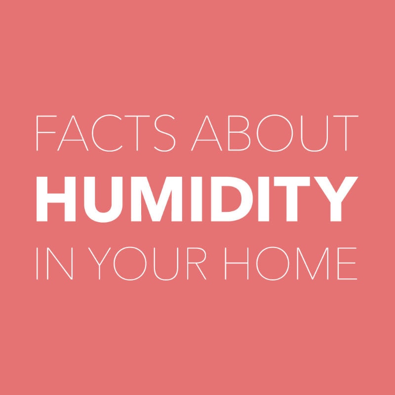 Facts About Humidity